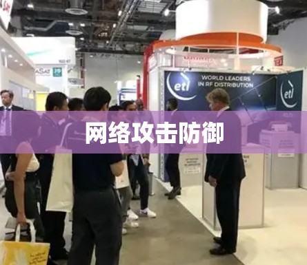 网络攻击防御 网络攻击防御