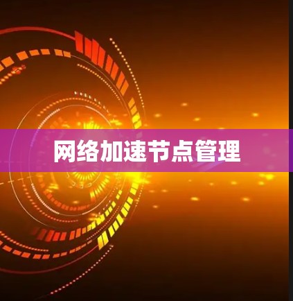 网络加速节点管理
